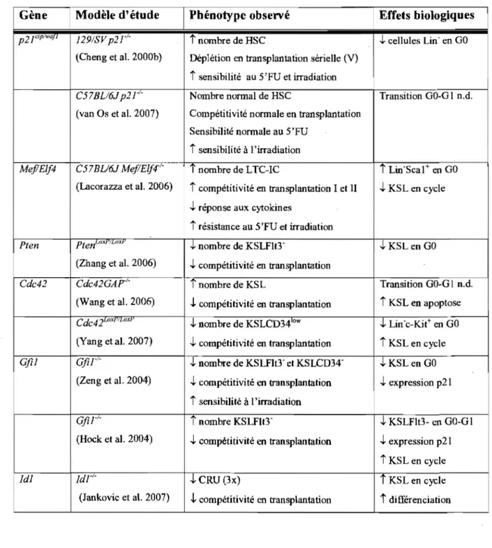 Tableau 1. 2:  Récapitulatif des gènes impliqués dans la  régulation de la quiescence des  cellules souches hématopoïétiques chez l'adulte