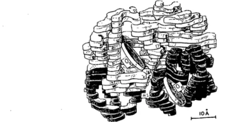 Figure 2:  Structure de l'hémoglobine tel que présentée par Perutz à son discours du prix  Nobel  (1962).51 