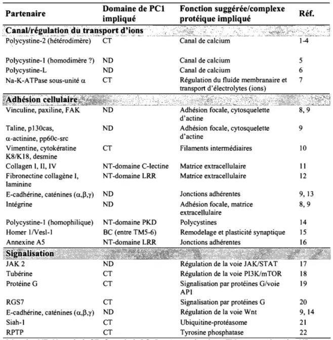 Tableau I-V : Partenaires protéiques de la polycystine-l 