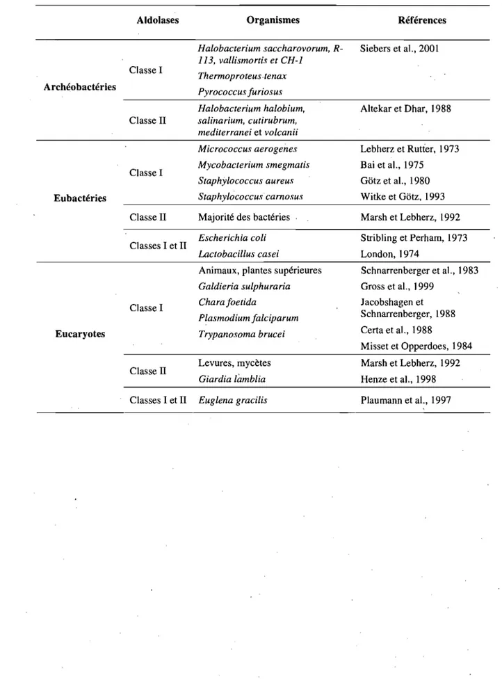 Table 1.1  Répartition des  aldolases de classes 1 et II dans divers organismes. 