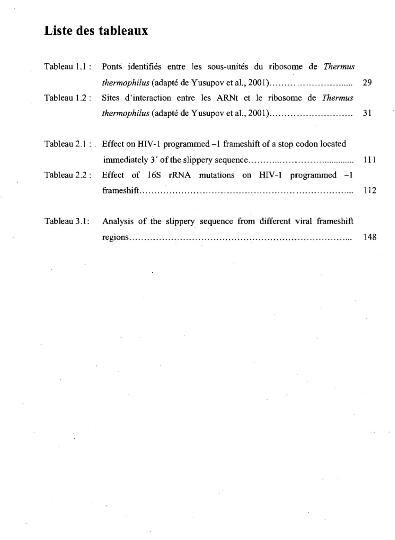 Tableau  1.1:  Ponts  identifiés  entre  les  sous-unités  du  ribosome  de·  Thermus  thermophilus  (adapté de Yusupov et al., 2001).