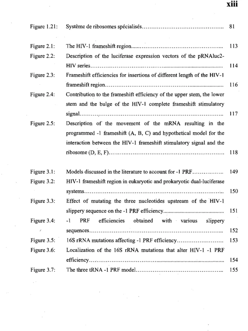 Figure 1.21:  Système de ribosomes spécialisés ....................... " . . .. .