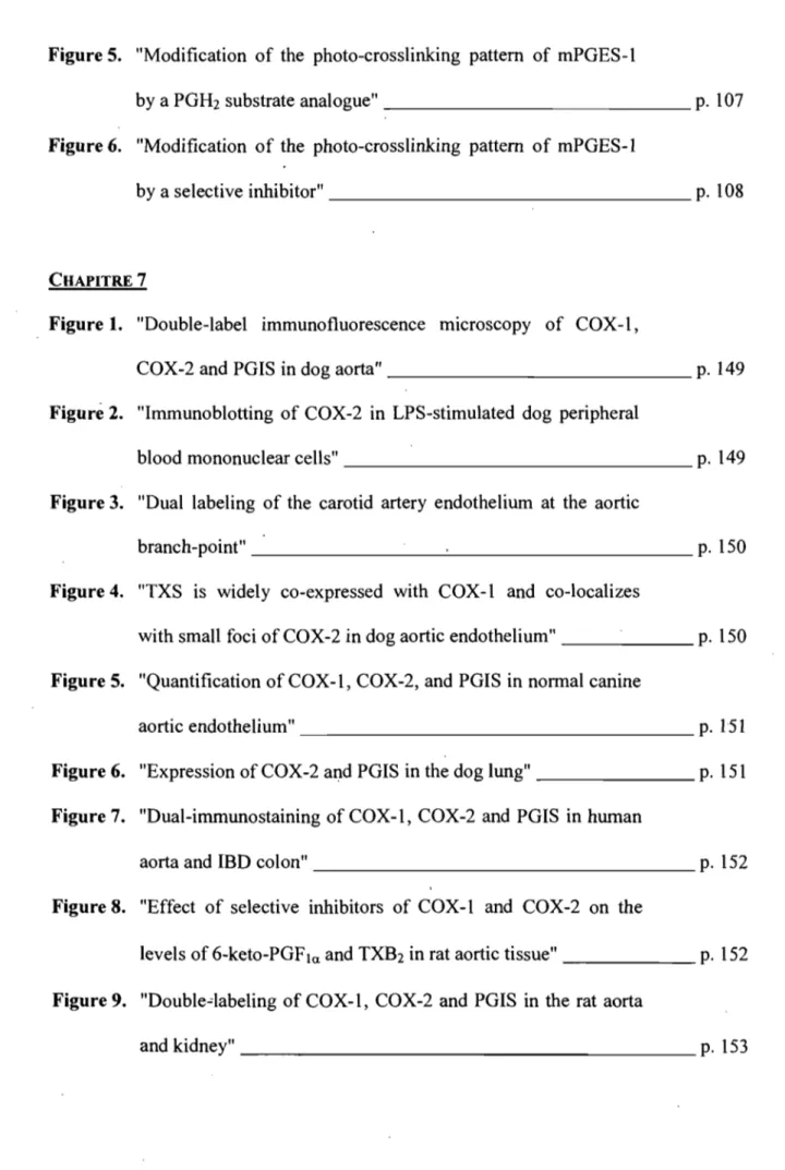 Figure 5.  &#34;Modification  of the  photo-crosslinking  pattern  of mPGES-l 