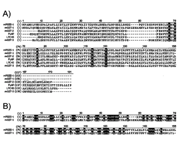 Figure  6.  Alignement  de  séquence  des  protéines  humaines  membres  de  la  famille  desMAPEG