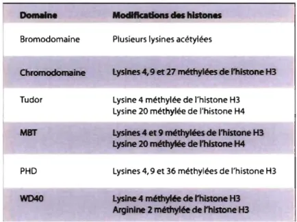 Tableau  II.  Les  domaines  protéiques  impliqués  dans  la  reconnaissance  des  modifications des histones 