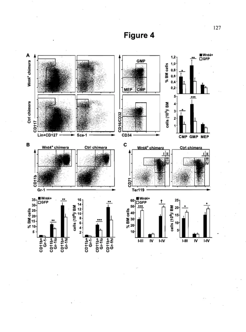 Figure 4  A  .Wnt4+  1,2  ~  DGFP  IV  1,0 ...  !!l QI  E  Qi  0,8  :2  Co)   -*-Co)  ::Ii  0,6  +  IXI  %  ;;p,  0,4 c:  3:  0,2  5  .:ll!.