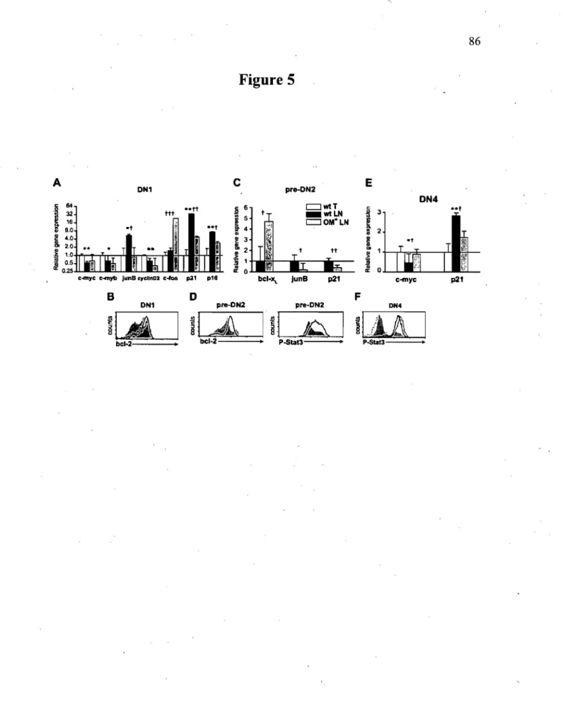 Figure 5  A  DN1  C  pre-DN2  E  DN4  i5  64  utt  c  6  c:::J wtT  .§  .... t  1  32  ttt  SI  _wtLN  3 16 i 5 c:::J OM+ LN ~ -t $Ot co