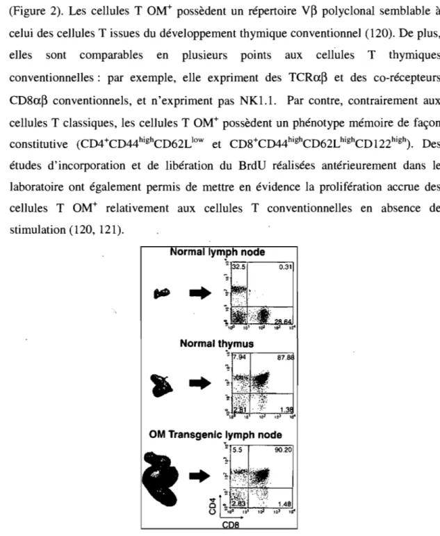 Figure  2:  Développement  extrathymique  des  cellules  T  dans  les  ganglions  des  souris  LckOM