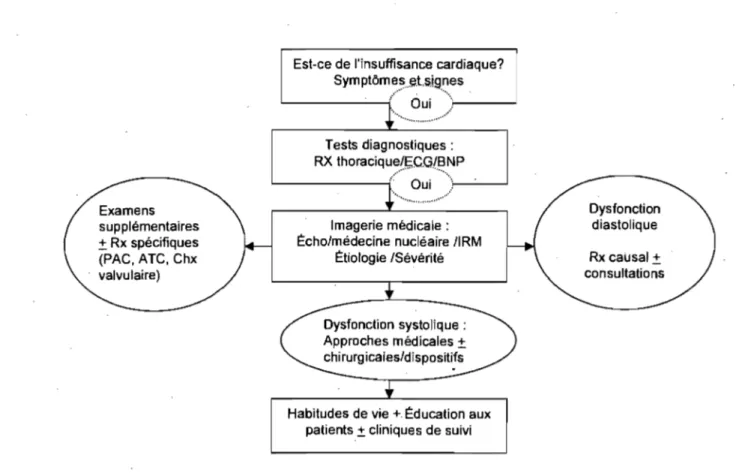 Figure  2.  Algorithme de gestion clinique de l'insuffisance cardiaque (Adapté de  Johnstone  et al.,  1994 et Liu  et al.,  2001) 