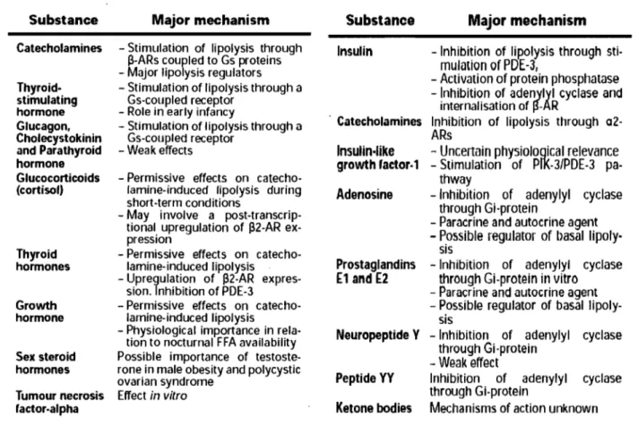 Figure  1.4 - Substances  stimulatrices et inhibitrices de  la lipolyse adipocytaire. Tiré de  Large et al