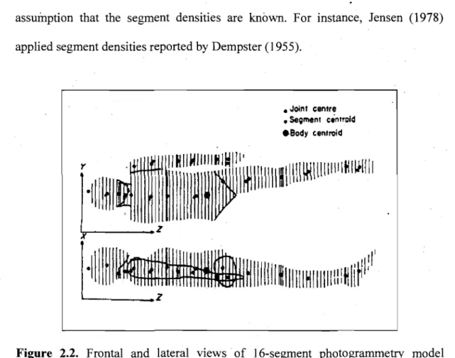 Figure  2.2.  Frontal  and  lateral  views  of  l6-segment  photogrammetry  model  (Adapted from Jensen,  1978)