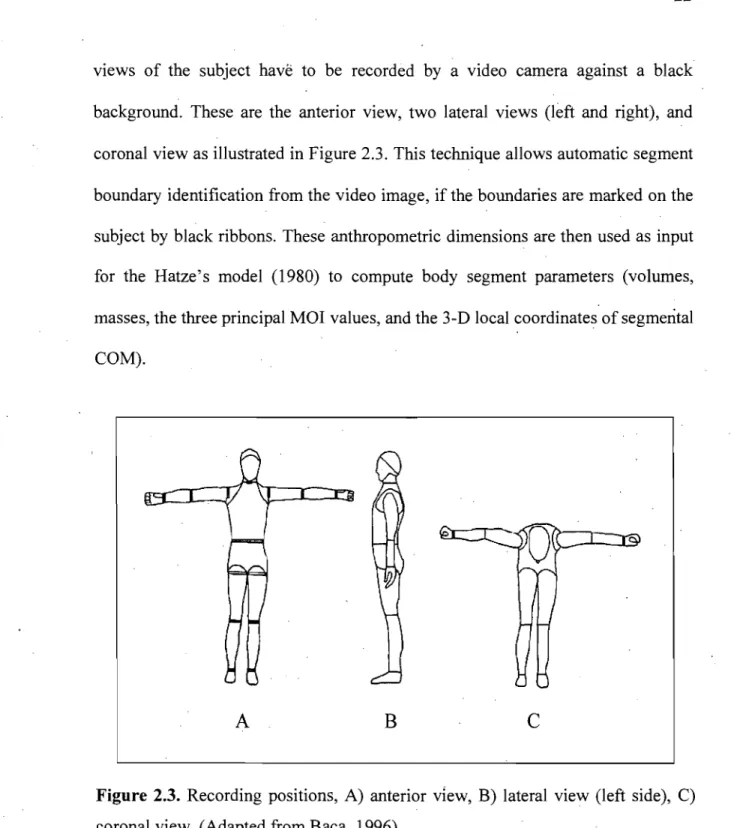 Figure  2.3.  Recording  positions,  A)  anterior  view,  B)  lateral  view  (left  side),  C)  coronal view