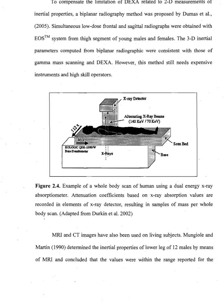 Figure 2.4.  Example of a  whole  body  scan  of human  using  a  dual  energy  x-ray  absorptiometer