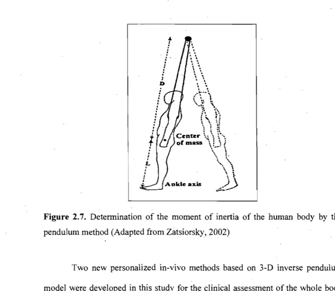 Figure  2.7.  Determination  of the  moment  of inertia  of the  human  body  by  the  pendulum method (Adapted from Zatsiorsky, 2002) 