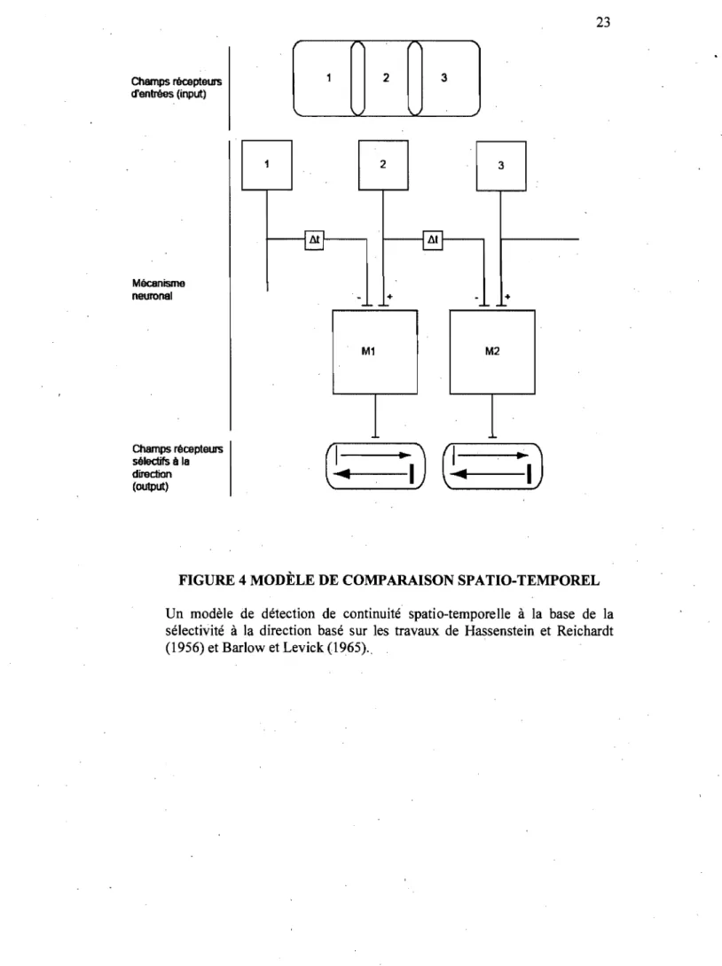 FIGURE 4 MODÈLE DE COMPARAISON SPATIO-TEMPOREL 