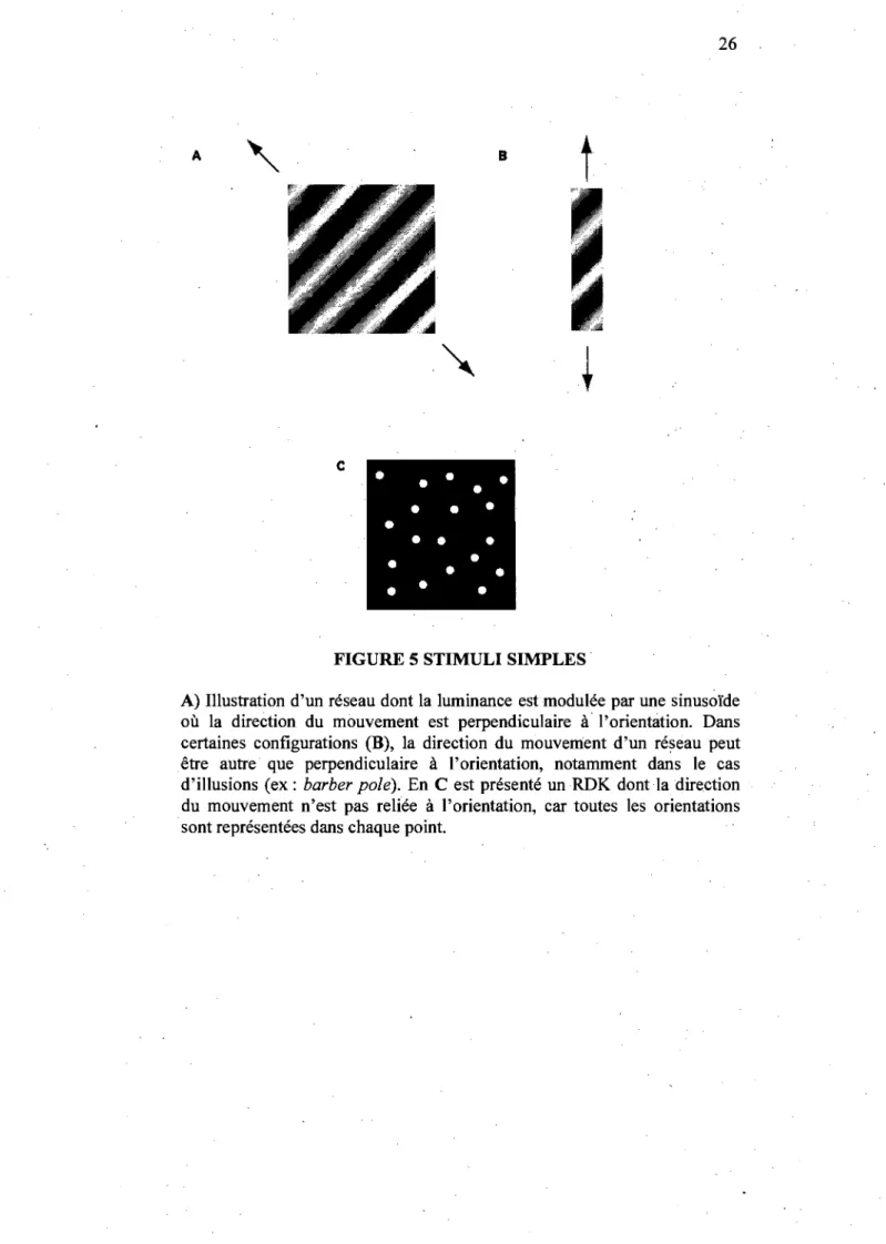 FIGURE 5 STIMULI SIMPLES· 