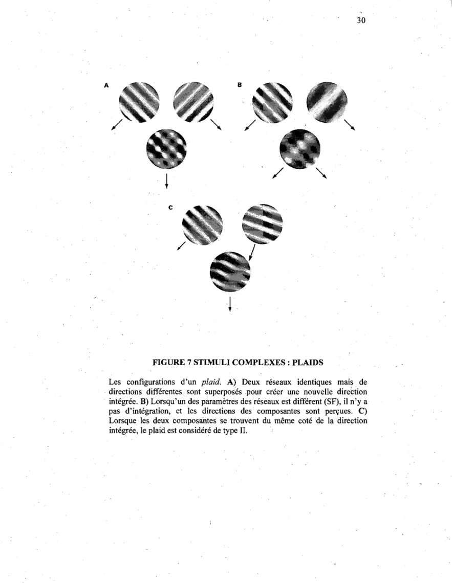 FIGURE 7 STIMULI COMPLEXES: PLAIDS 