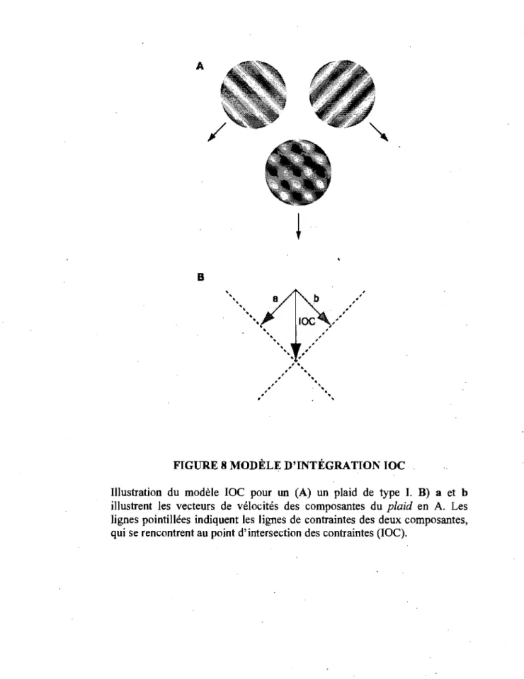 FIGURE 8 MODÈLE D'INTÉGRATION IOC 