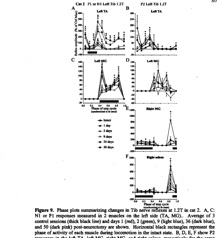Figure  9.  Phase  plots summarizing changes in Tib  n=r:âë~êSkt  1.2T in cat 2.  A,  C: 