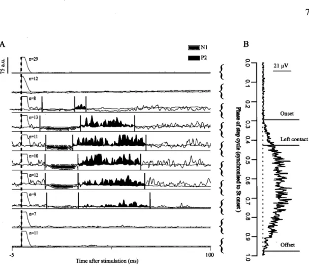 Figure 2.  Measurements of reflexes and extensor burst activity.  A) Reflexes  evoked from  the Tib nerve in various phases of the step cycle in the left MG of cat 1