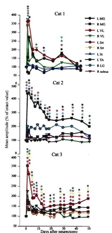 Figure 4.  Changes in mean EMG amplitude for selected muscles during locomotion for up  to 50  days  post-neurectomy expressed as a percentage of the intact value 