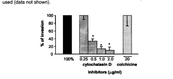 Figure  7.  Inhibition  of  invasion  of  PBMEC  by  S.  suis  strain  31533  with  cytochalasin  D  and  colchicine