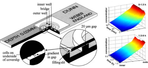Fig. 1. Cutaway  view of the Dunn chemotaxis chamber with the coverslip in the  correct position to allow access to the outer well