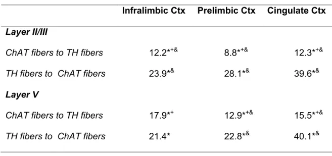 Table 3. Microproximity between ChAT and TH fibers in the mPFC of rats. 