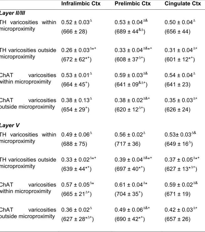 Table 4. Number and diameter of TH and ChAT varicosities within or outside  microproximity in the mPFC of rats
