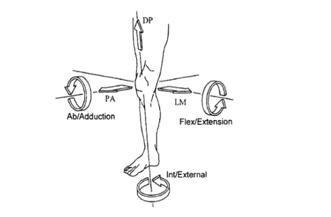Figure 4. Mouvements de rotation du genou sur un système d’axes. Tirée de Maly et al.  [19]