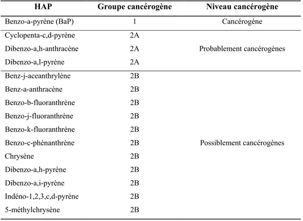 Tableau I  :  Liste des 15 HAP cancérogènes et leur classement en groupe cancérogène. Source : 