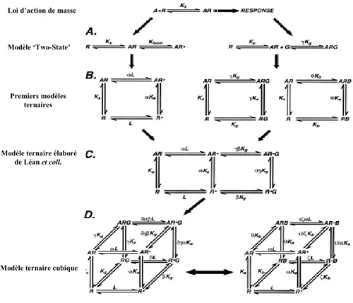 Figure  1.  Évolution  des  modèles  ligands  récepteurs.  Les  premiers  modèles  étaient 
