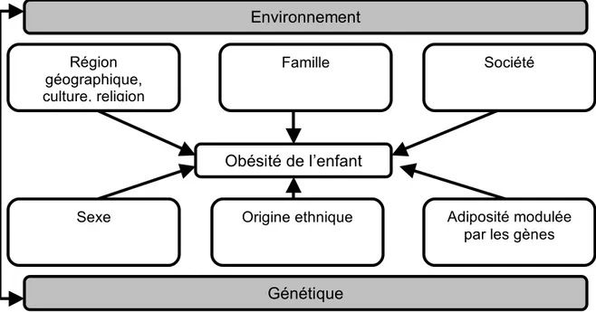 Figure  1  :  Déterminants  de  l’obésité  infantile :  les  interactions  entre  l’environnement et la génétique