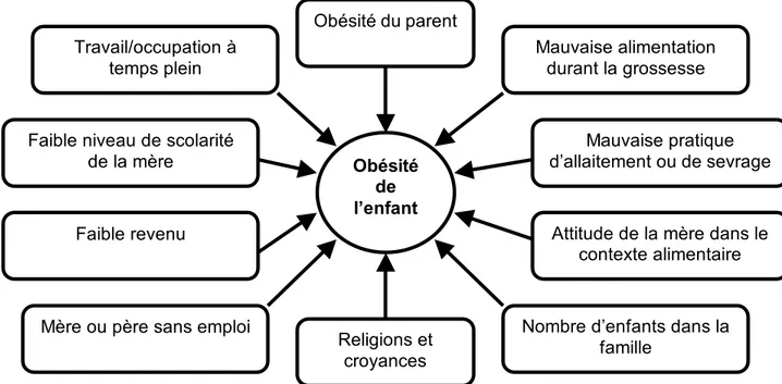 Figure  3  :    Influence  des  parents  sur  l'obésité  infantile    (  Traduit  de  Tabacchi  (Tabacchi, et al., 2007)) 