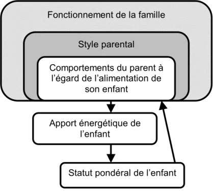 Figure  4:  Rôle  du  comportement  parental  et  de  la  structure  familiale  dans  la  gestion du poids de l'enfant (Traduction de Rhee  (K