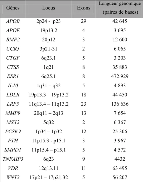 Tableau IV: Localisation chromosomique, nombre d'exons et longueur des différents  gènes étudiés 