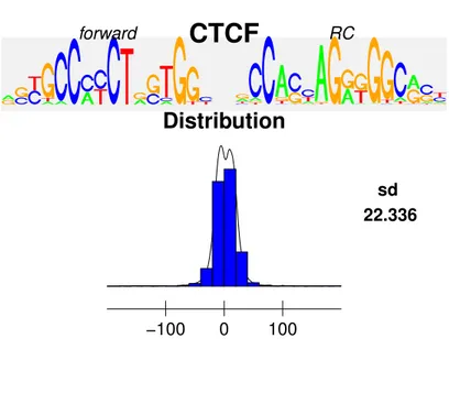 Figure 3.8 – Distribution du motif du site de liaison de CTCF au sein des séquences et visualisé par MotIV.