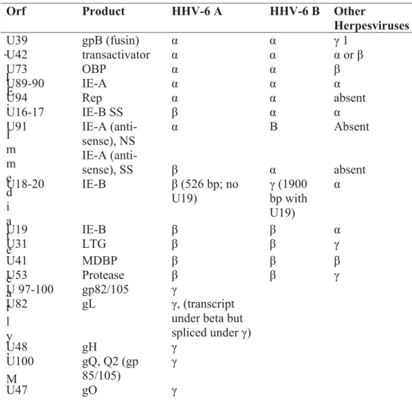 Table 4.    Divergent genes between HHV-6 (A and B variants) and other Herpesviruses  
