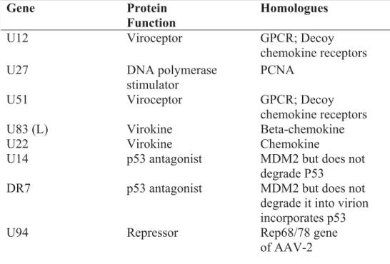 Table 6.     HHV-6 pirated genes 