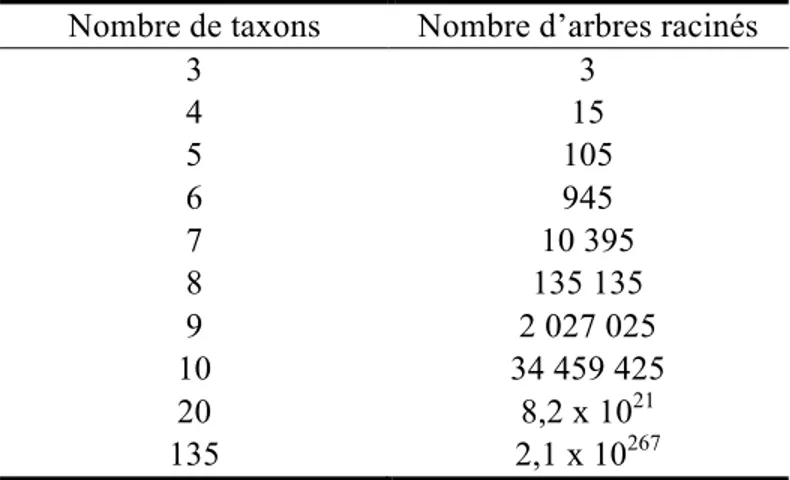 Tableau  1  :  Nombre  théorique  d'arbres  racinés  selon  le  nombre  de  taxons  terminaux 