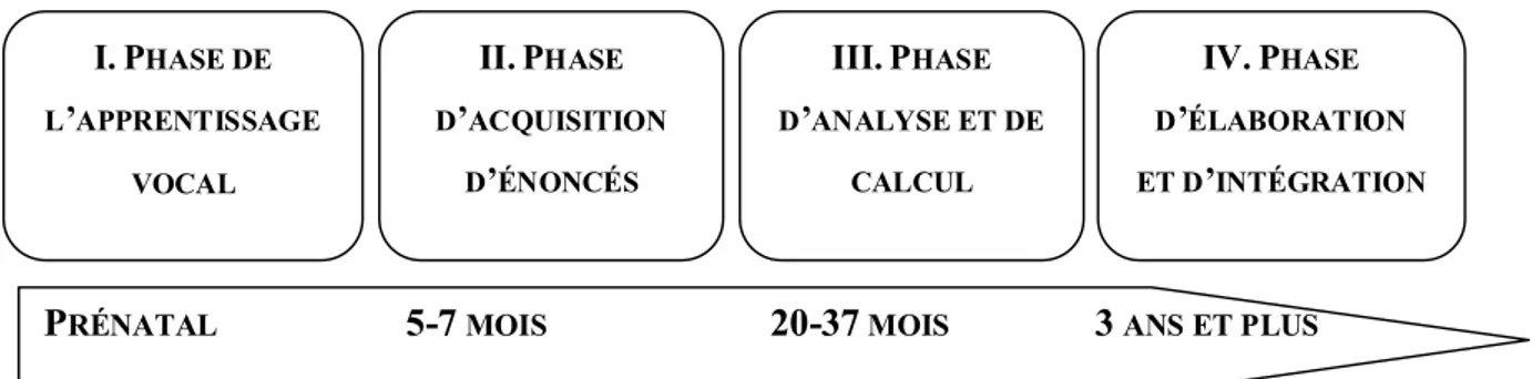 Figure 2. Phases du développement du langage et âge de leur apparition selon le modèle de  Locke (1997)