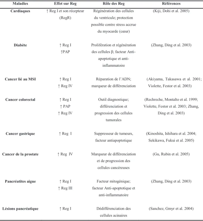 Tableau V :  Implication des protéines Reg dans les maladies humaines.   