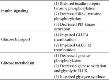 Figure  2 :  Tableau  résumant  les  principales  dysfonctions  de  l’homéostasie  musculaire  du glucose en situation d’insulino-résistance