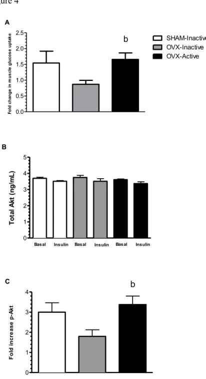 Figure 4  0.00.51.01.52.02.5 SHAM-InactiveOVX-InactiveOVX-ActivebA Fold change in muscle glucose uptake 012345