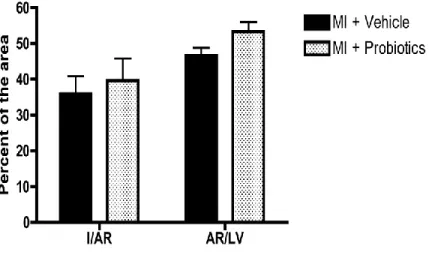 Figure 5-1. Myocardial infarct size (I), expressed as a percentage of the area at risk  (AR), shows no difference between groups