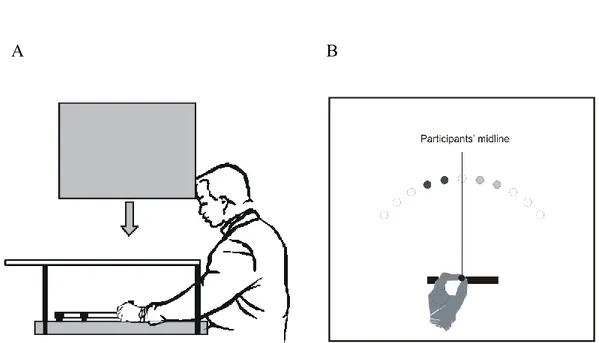Figure 3.1: (A) View of the apparatus. (B) Because of the 30˚ clockwise rotation,  movements performed along one’s midline were illustrated as progressing 30° to  the right