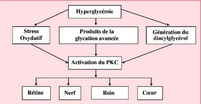 Figure 10 : Complications chroniques du diabète    [32] 