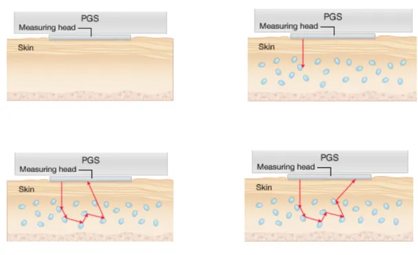 Figure 13: Mécanisme de mesure du glucose dans le tissu interstitiel par le PGS 
