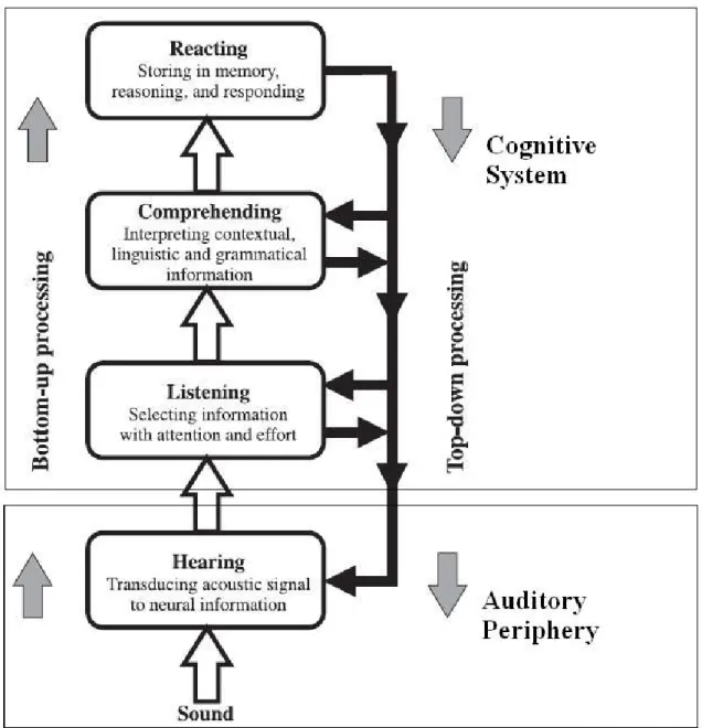Figure 1.  A generalized model for bottom-up and top-down processing of auditory input  (adapted from Edwards, 2007)