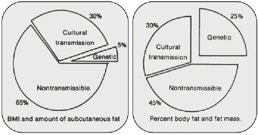 Figure 6. Etiology of obesity: genetic vs. non-genetic factors.  Total transmissible variance and its genetic component for body  mass index (BMI), subcutaneous fat (skin-fold thickness) and for  total body fat from underwater weighing